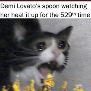 Meet your Posher, Tykwon